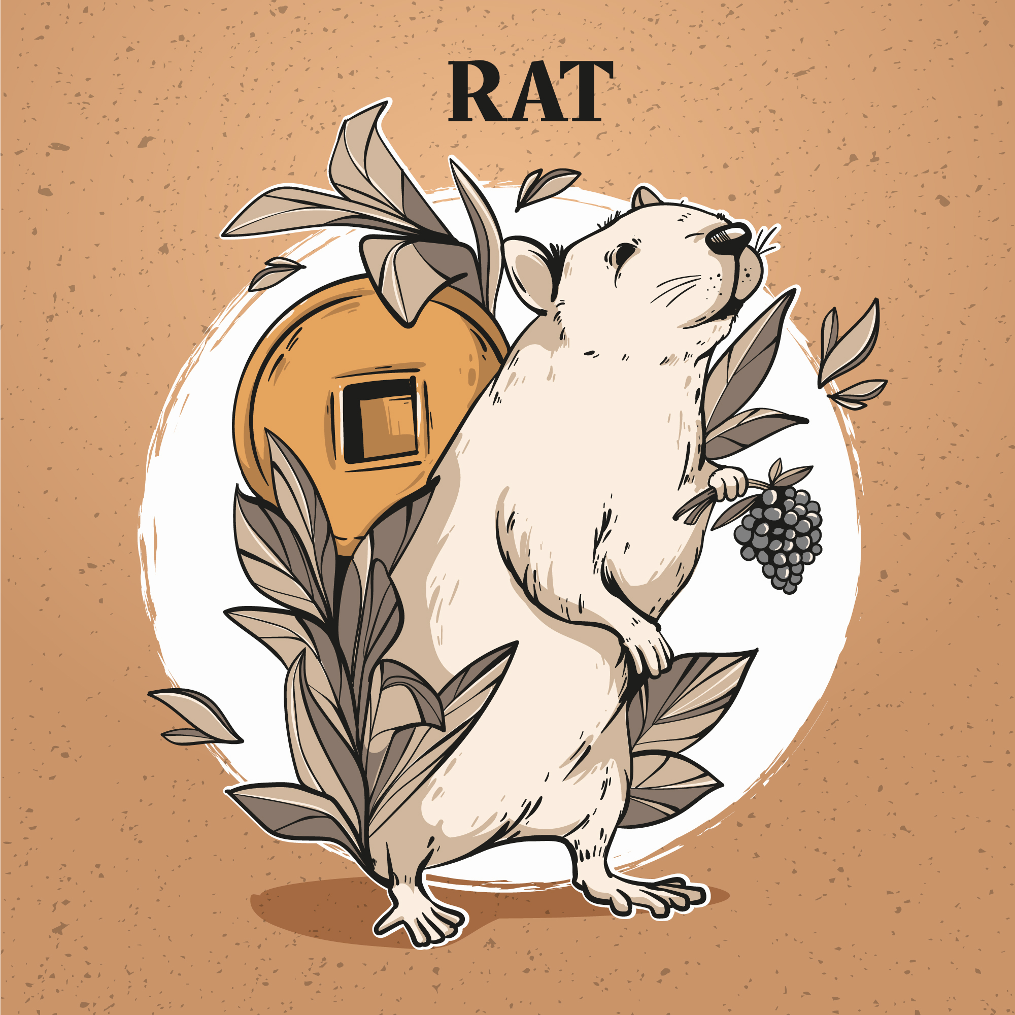 Rat