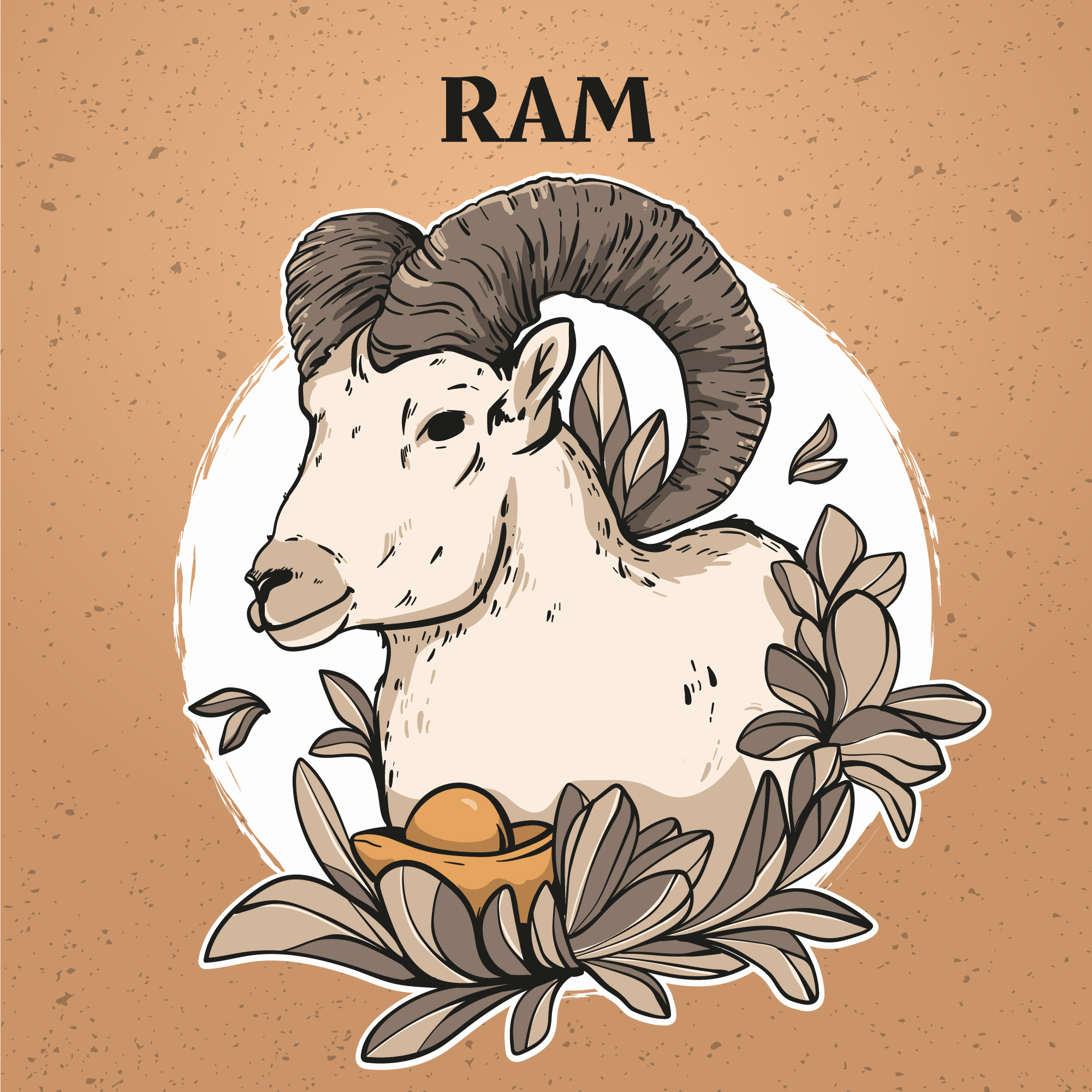 Ram
