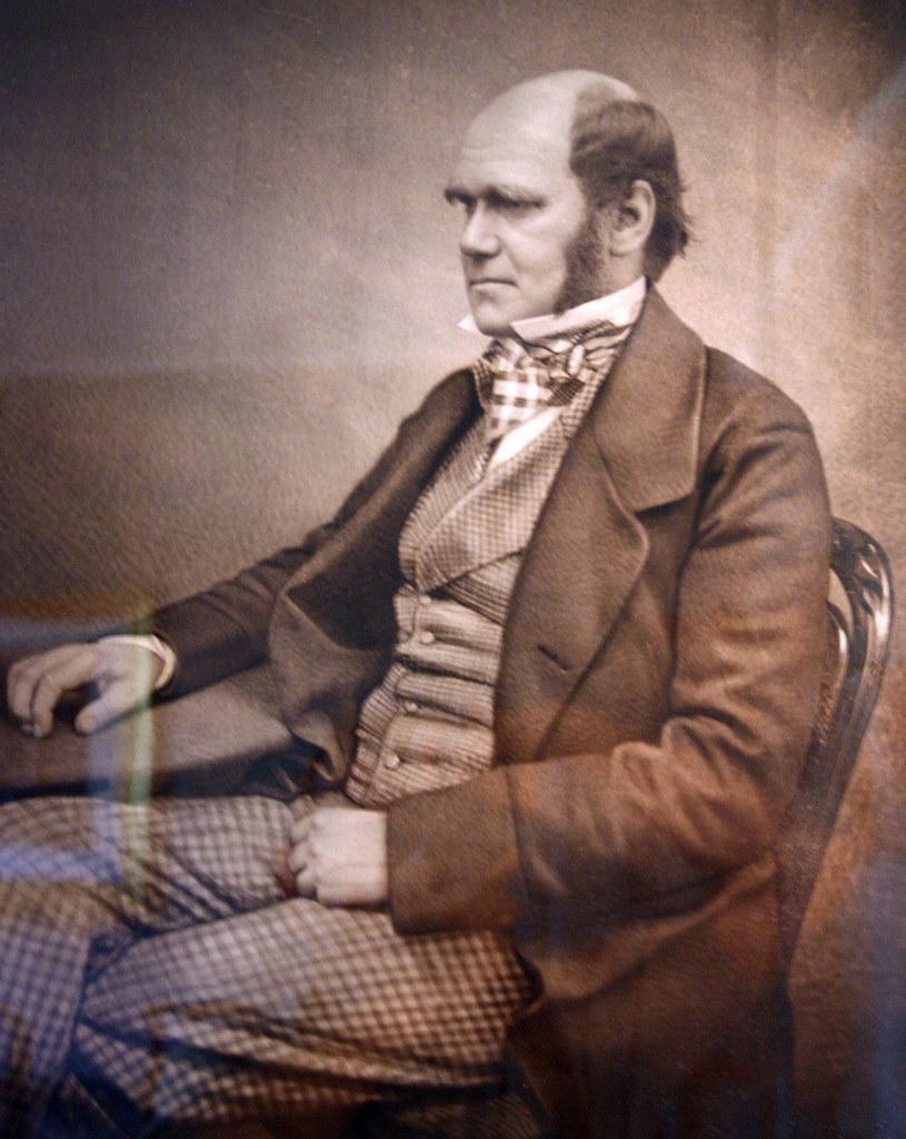 Evolution - Part 7 of 7 - What About God?