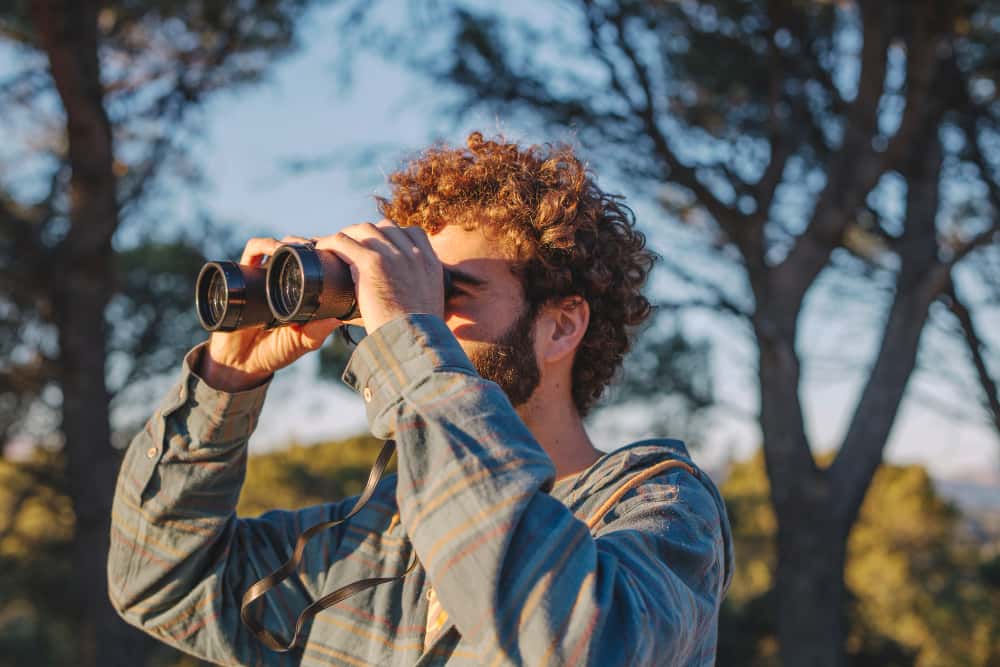 The Science of Focus in a Distracted World