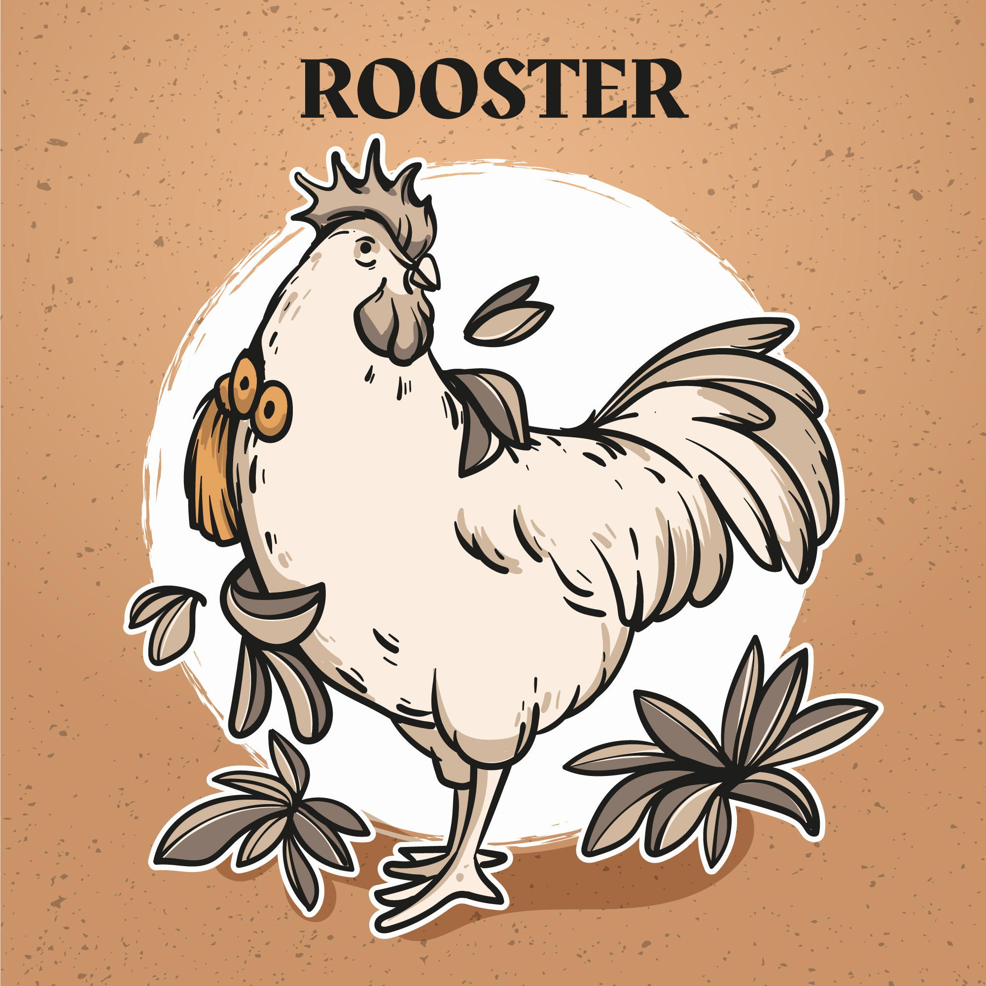 Rooster